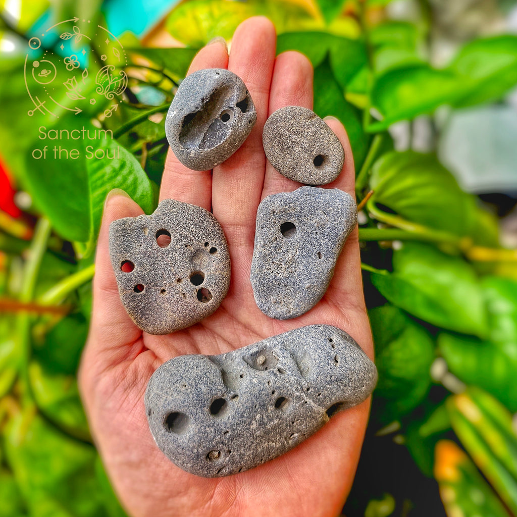 PHOTO OF HAGSTONES, OTHERWISE KNOWN AS ADDER STONES OR FAIRY STONES